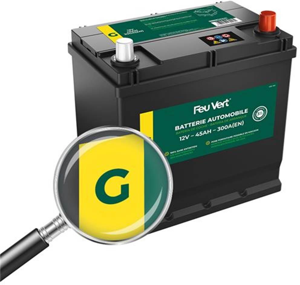 Feu Vert Batería de coche  g 45ah 300a