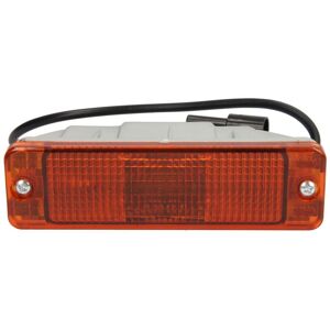 Feu clignotant TRUCKLIGHT CL-MA007