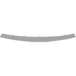 Bonnet trim BLIC 6502-07-1310991P