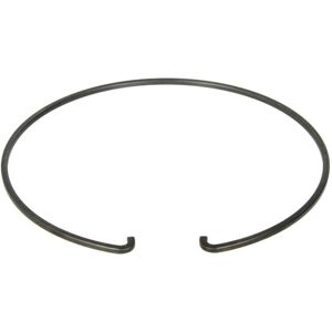 Circlip ZF 0730513745