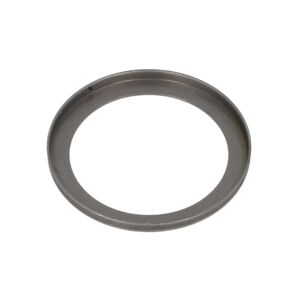 Circlip ZF 0730063154ZF