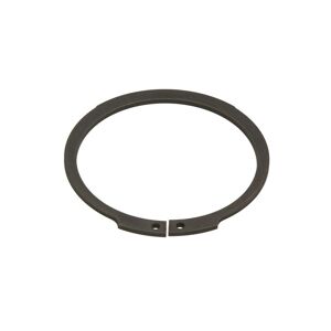Circlip ZF 0630501061ZF