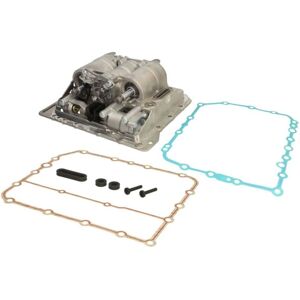 Kit de réparation de la boîte de vitesses ZF 6009298006R - Publicité