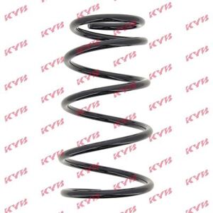 Coil spring RC6724