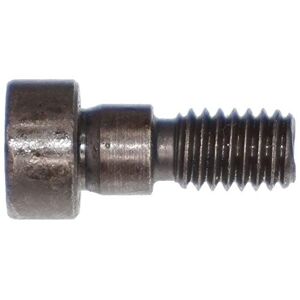 BMW M52 M54 Engine VANOS Camshaft T30 Torx M6 Bolt LHT 11361748745 Genuine - Publicité