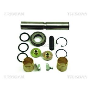 Triscan A/S Kit d'assemblage, pivot de fusee d'essieu pour MERCEDES-BENZ: Transporter (Ref: 8500 2362)