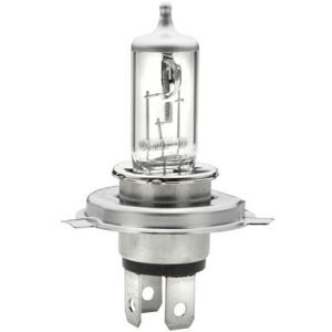 HELLA Ampoule, projecteur principal pour AMC: Pacer (Ref: 8GJ 002 525-898)