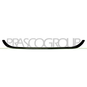 PRASCO Baguette et bande protectrice, grille de radiateur pour FIAT: Tipo, Aegea (Ref: FT4482305)