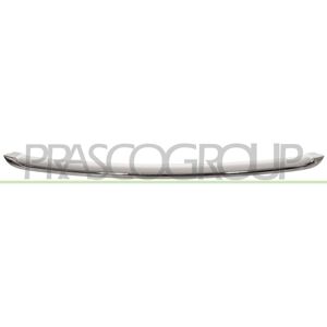 PRASCO Baguette et bande protectrice, grille de radiateur pour MINI: MINI (Ref: MN3102205)