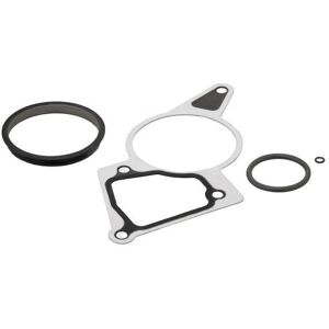 ELRING Jeu de joints d'etancheite pour FIAT: Ducato & PEUGEOT: Boxer & CITROËN: Jumper, Relay & FORD: Transit/Tourneo, Ranger, Mondeo (Ref: 250.870)