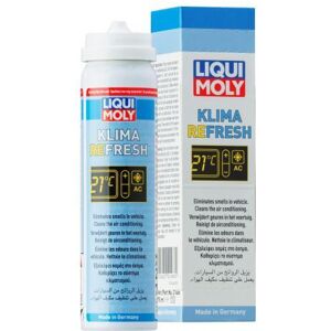 LIQUI MOLY Nettoyant circuit de refroidissement (Ref: 21466)