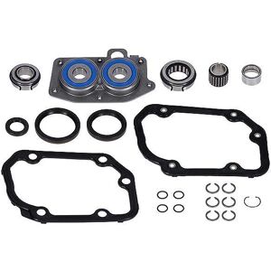 LUK Kit de reparation, boîte de vitesse manuelle pour VOLKSWAGEN: Polo, Golf, Fox, Bora, Lupo, New Beetle, Jetta & AUDI: A3, A1, A2 (Ref: 462 0055 10)