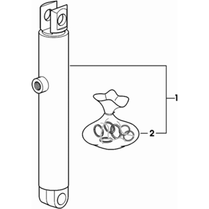 Pompe d'alimentation en carburant 12V Facet 40223 Dura-Lift