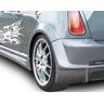 AUTO-STYLE Carzone Specials CZ305004 Strada wielloop Rl voor BMW Mini tot 06