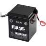 BS Battery Bateria SLA livre de manutenção ativada de fábrica - 6N4-2A/A-4