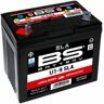 BS Battery Bateria SLA livre de manutenção ativada de fábrica - U1-9