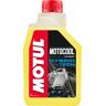 MOTUL MOTOCOOL EXPERT -37°C, líquido de arrefecimento, 1L  0-5l