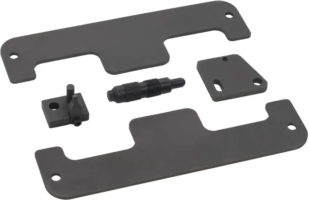 vidaXL Set de scule sincronizare motor pentru VW și Audi, 5 piese