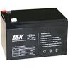 DSK 10364 Versiegelte wiederaufladbare AGM-Bleibatterie 12V mit 12Ah. Ideal für Auto- und Elektromotorräder für Kinder, Motorroller, USV-Systeme, Sicherheits- und Kommunikationssysteme…