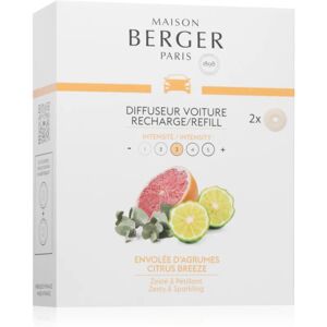 Maison Berger Paris Citrus Breeze car air freshener refill 2x17 g