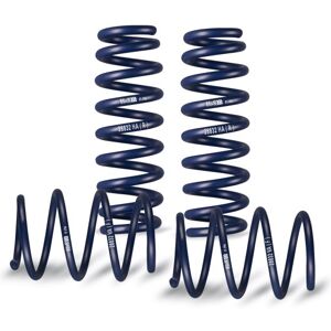 H&R Lowering Springs - Lowers 30mm