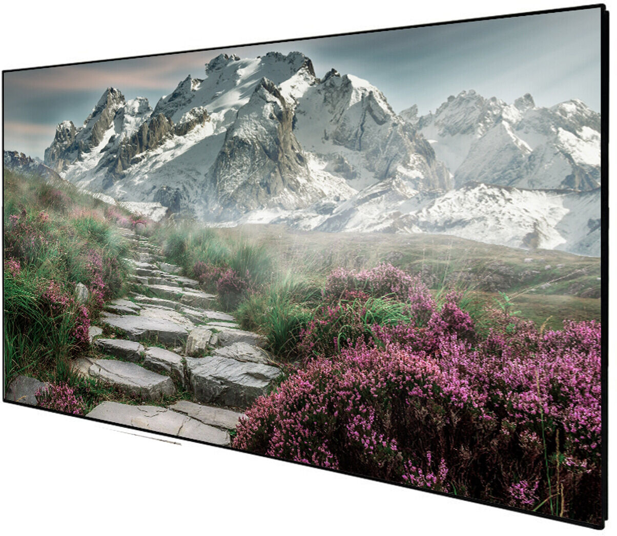 DELUXX Cinema Rahmenleinwand SlimFrame 265 x 149cm, 120" - SOUNDVISION