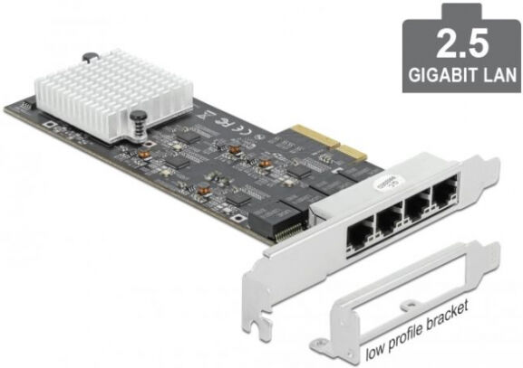 DeLock 89192 - PCI Express x4 Karte auf 4 x 2,5 Gigabit LAN RTL8125