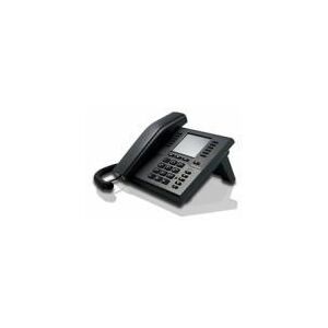 IP112 téléphone fixe Noir Combiné filaire (IP112 IP Telefon - 8.89 cm (3.5" ) 320 x 240, 1x RJ-45 1000-BASE-T PoE, 1x RJ-45 1000-BASE-T, 1x USB 2.0, DSP, 128 MB DDR3, 16 MB Flash, 213 x 157 x 35 mm, schwarz)