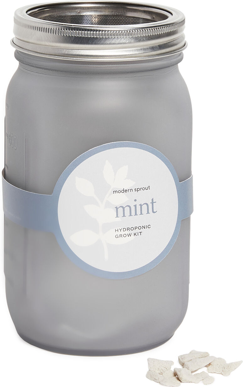 Shopbop Home Shopbop @Home Mint Garden Jar Mint One Size    size: