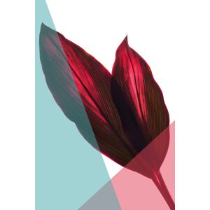queence Acrylglasbild »Blätter« rot Größe