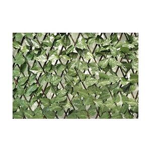 Garden Deluxe Living Dekozaun Laurus 100 x 200 cm