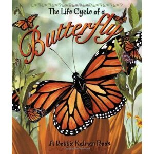 MediaTronixs The Life Cycle of Butterfly by Kalman, Bobbie