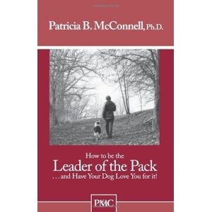 MediaTronixs How to Be Leader of Pack……, McConnell, Patr