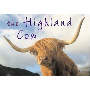 MediaTronixs The Highland Cow (Souvenir Guide): 1, Kenny Taylor