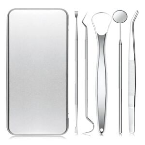 INF Dental Tools, 5 Piecies Picks til tandrensning Sølv
