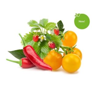 Click and Grow Smart Garden påfyldning 9-pakning Frugt- og grøntsagsmix