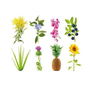 Click and Grow Smart Garden Refill 3-pakke - Eksperimentel