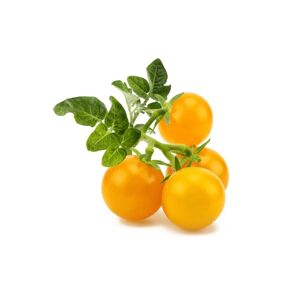 Click and Grow Smart Garden Refill 3-pakke - Gul tomat