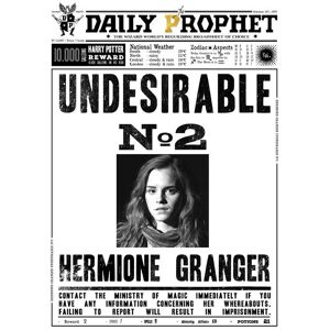 A3 Print - Harry Potter - Daily Prophet - Hermione Granger No 2
