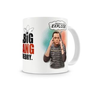 The Big Bang Theory Your Head Will Now Explode Coffee Mug 11oz