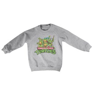Teeange Mutant Ninja Turtles Distressed Group Kids Sweatshirt 4Years-XS