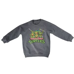 Teeange Mutant Ninja Turtles Distressed Group Kids Sweatshirt 6Years-S
