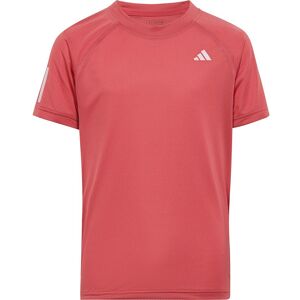 Adidas Club T-shirt Med Korte ærmer Rød 13-14 Years Dreng