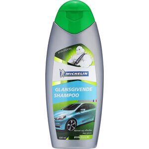 Michelin Eco Auto Shampoo