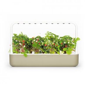hjemmeudstyr Click And Grow Smart Garden 9 Start Kit