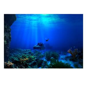 Selvklæbende Seaworld-baggrundsplakat til akvarieudsmykning 61*41 cm 61*41cm