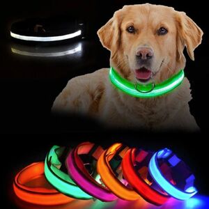 LED Hundehalskæde Genopladelig / Refleks & Halskæde til hund XS - Orange
