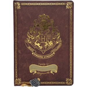 Blue Sky Harry Potter Hogwarts A5 notesbog