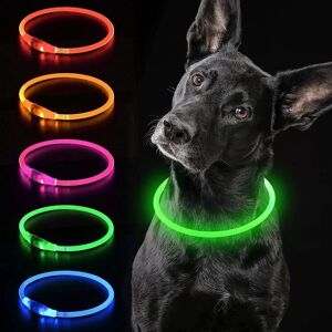 LED hundehalsbånd Oplyst hundehalsbånd