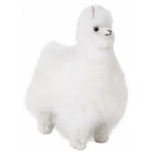 Elvang Teddy Alpaca - White